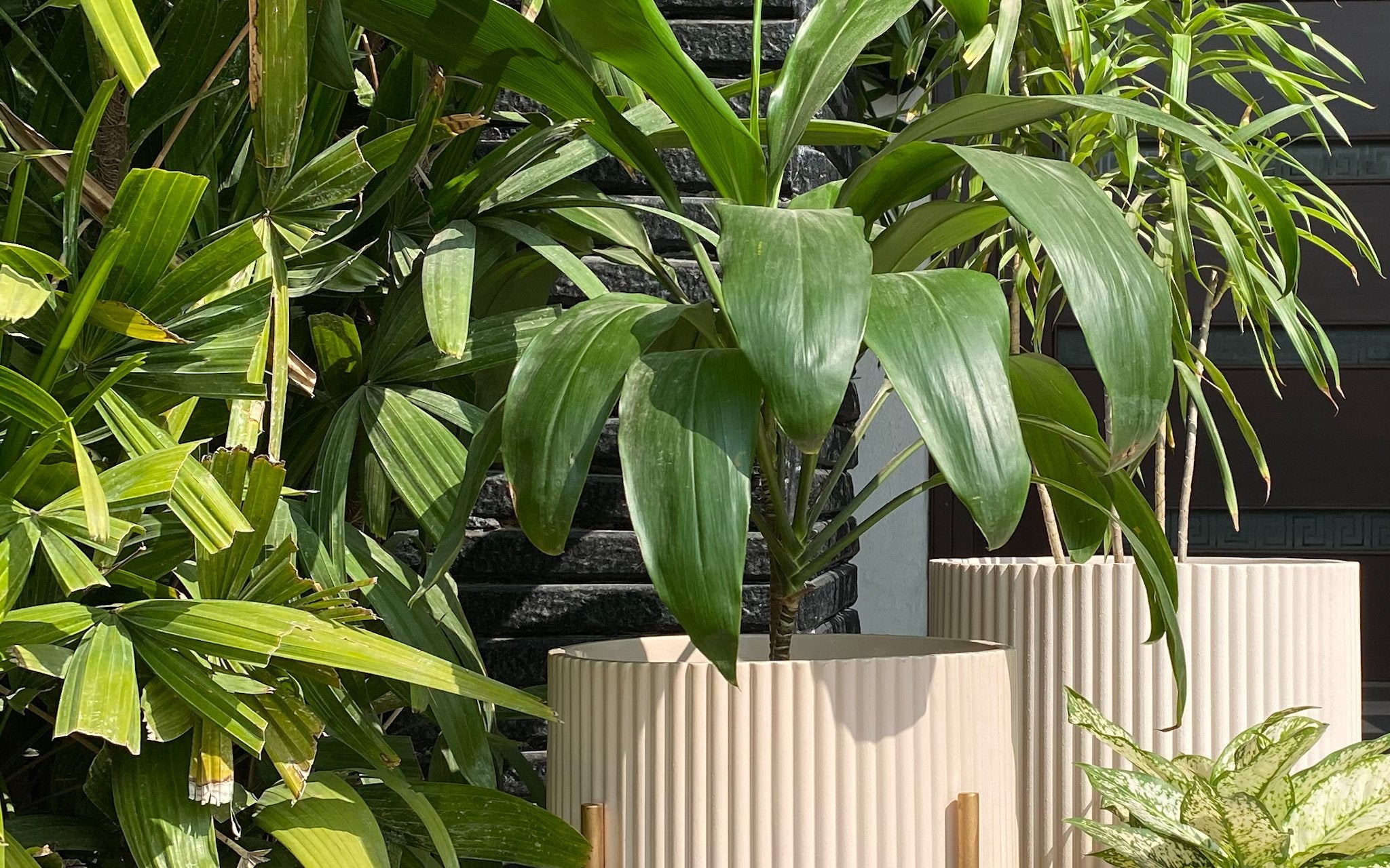 Gardening Resolutions - Ripples Home