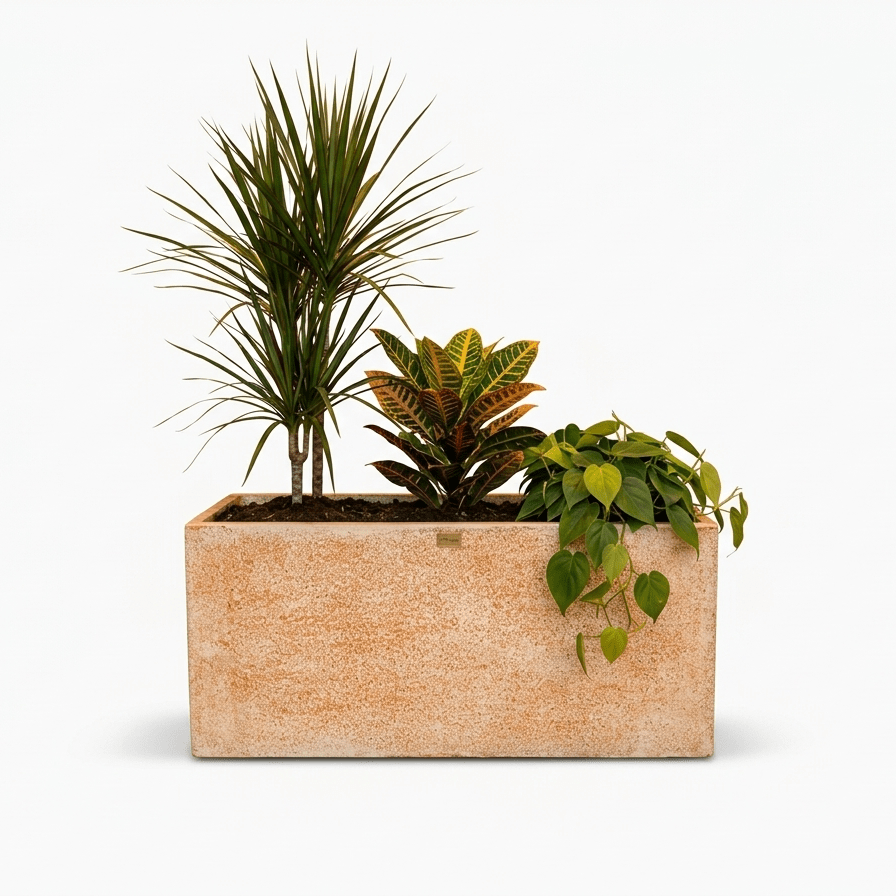 Kibo Planter Box - Ripples Home