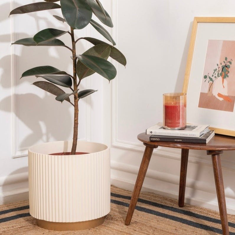 Large Midori Planter With Base - Ripples Home