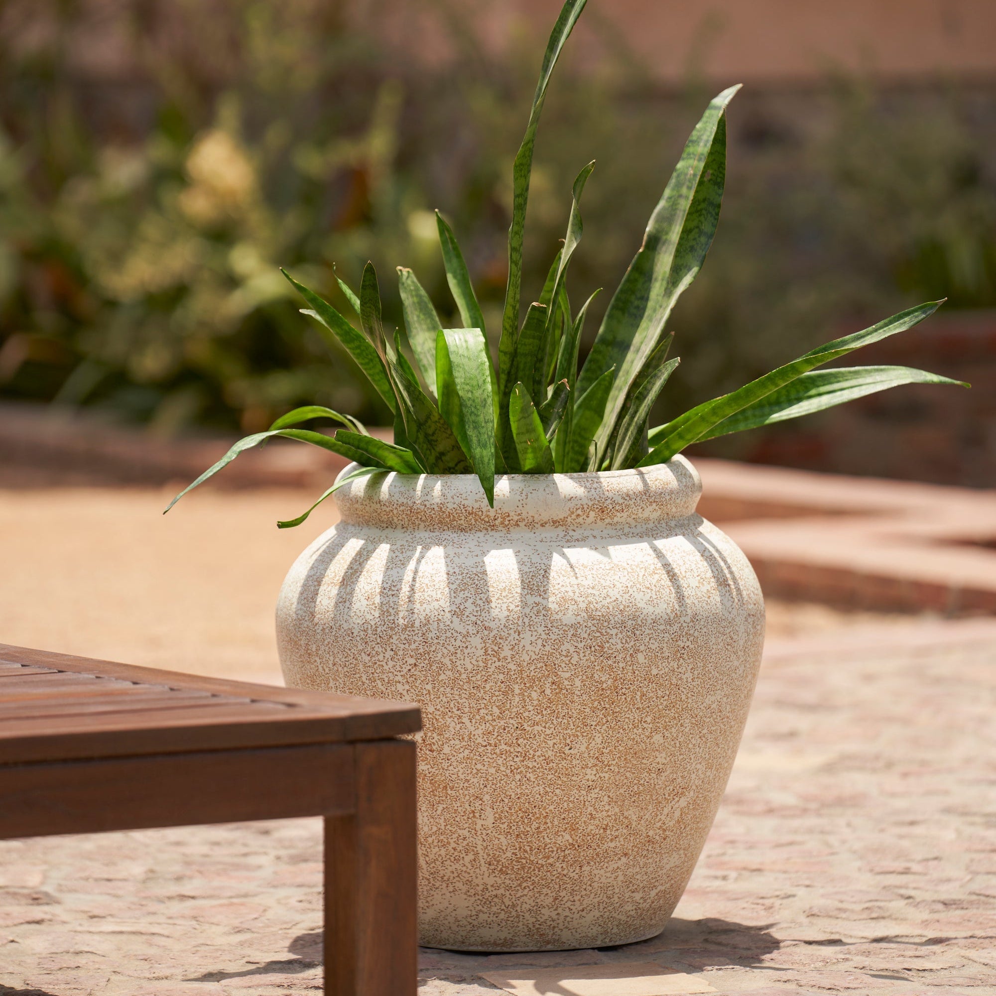 Pisa Set of 3 Rustic Planters in Beige - Ripples Home