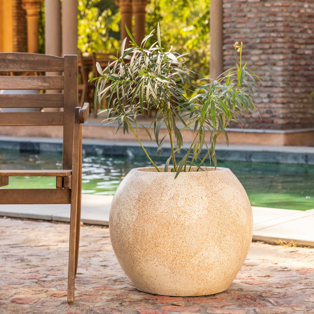 Theo Planter