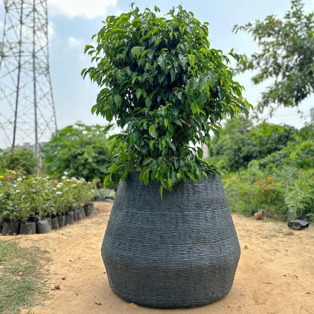 Black Kai Planter 27" - Ripples Home