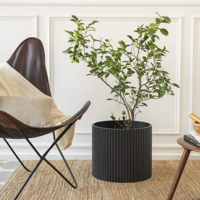 Extra Large Midori Planter - Ripples Home