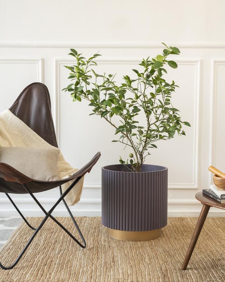 Extra Large Midori Planter with Base - Ripples Home