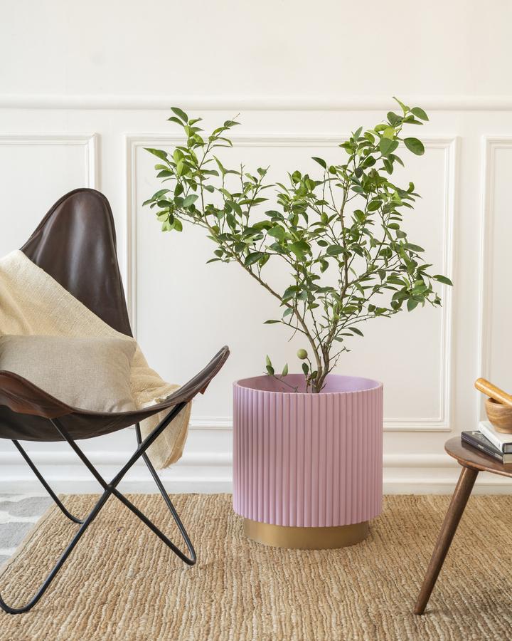 Extra Large Midori Planter with Base - Ripples Home