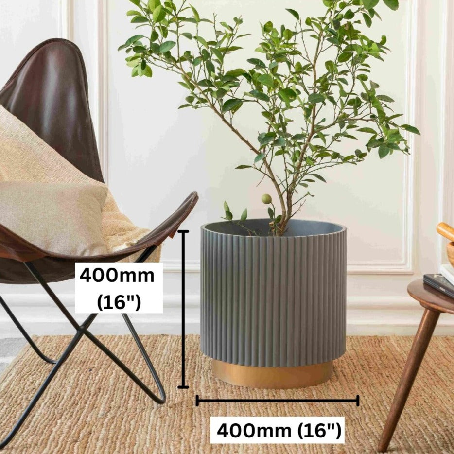 Extra Large Midori Planter with Base - Ripples Home