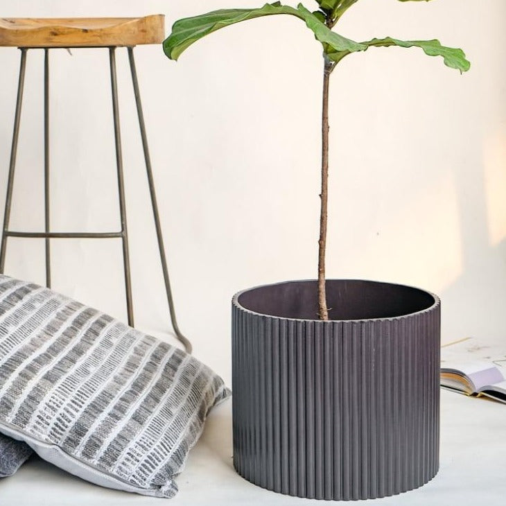 Large Midori Planter.