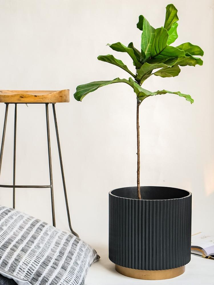 Large Midori Planter With Base.