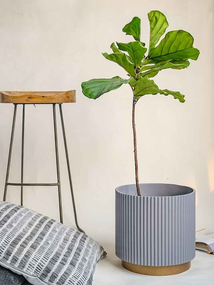 Large Midori Planter With Base.