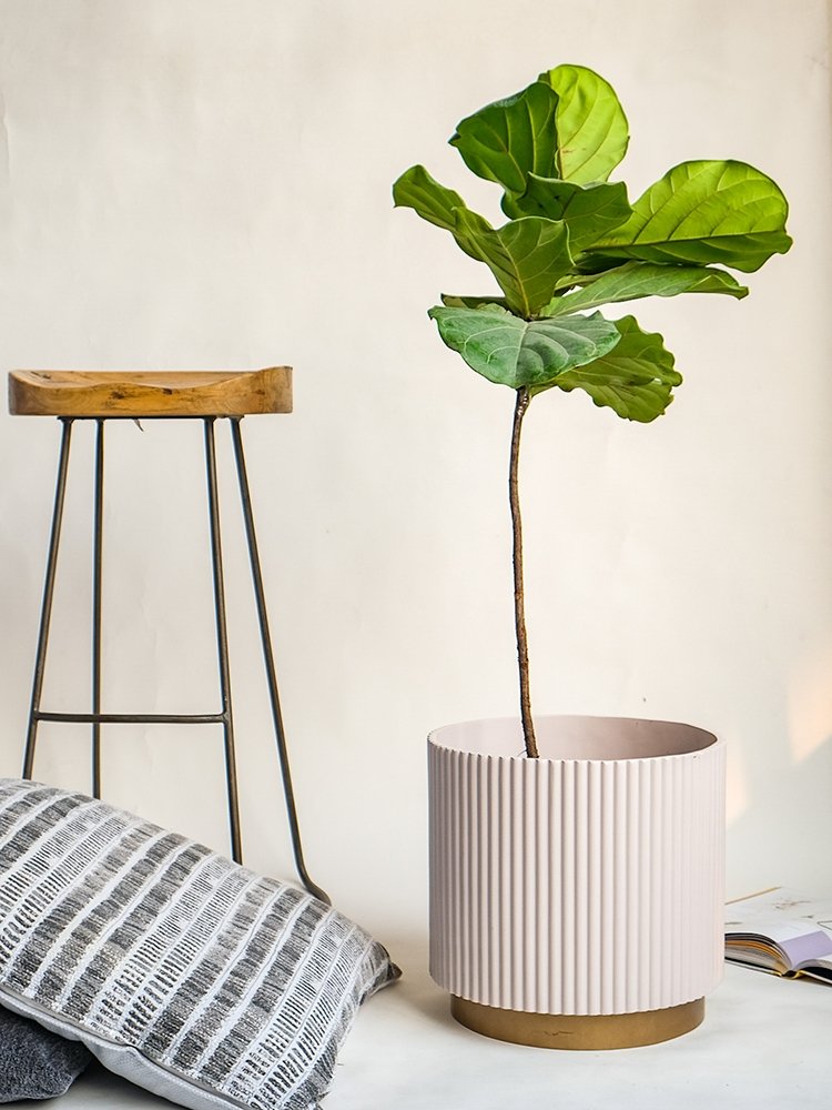 Large Midori Planter With Base.