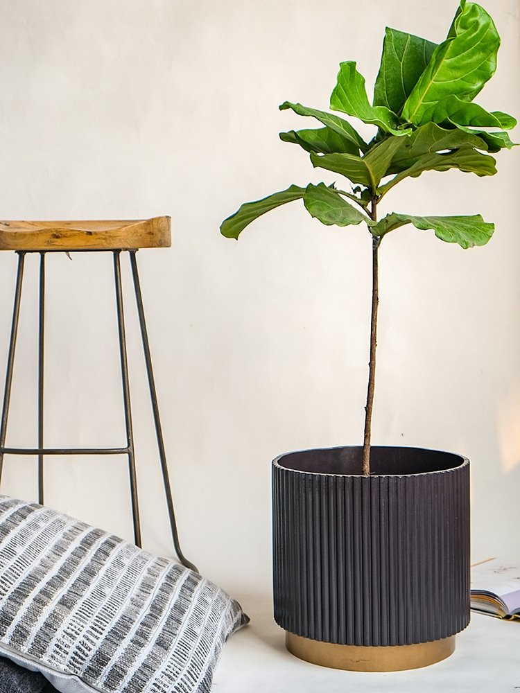 Large Midori Planter With Base.