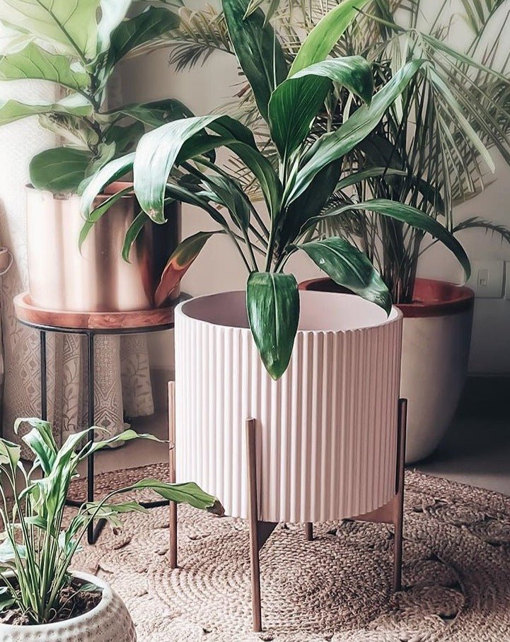 Large Midori Planter With Stand - Ripples Home