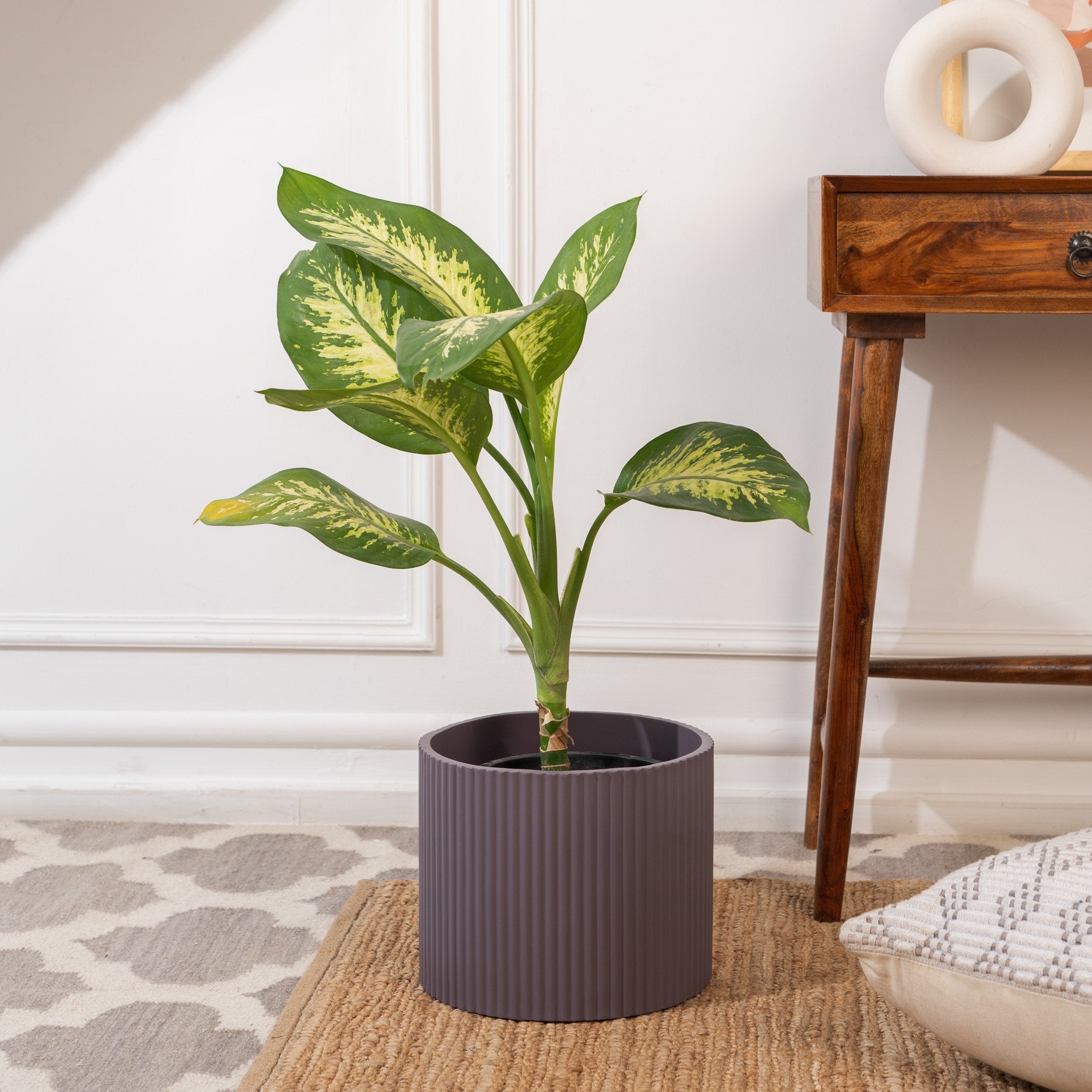 Medium Midori Planter - Ripples Home