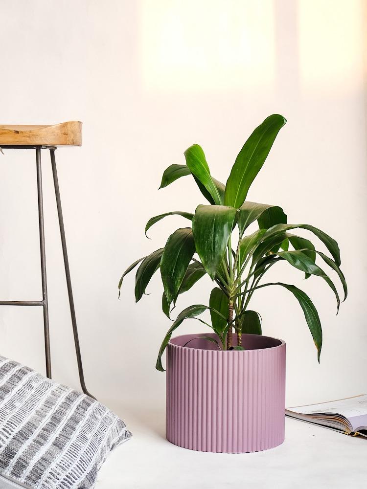 Medium Midori Planter.