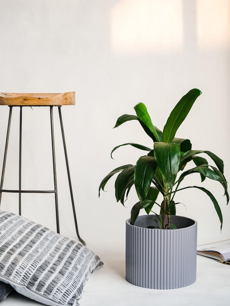 Medium Midori Planter.