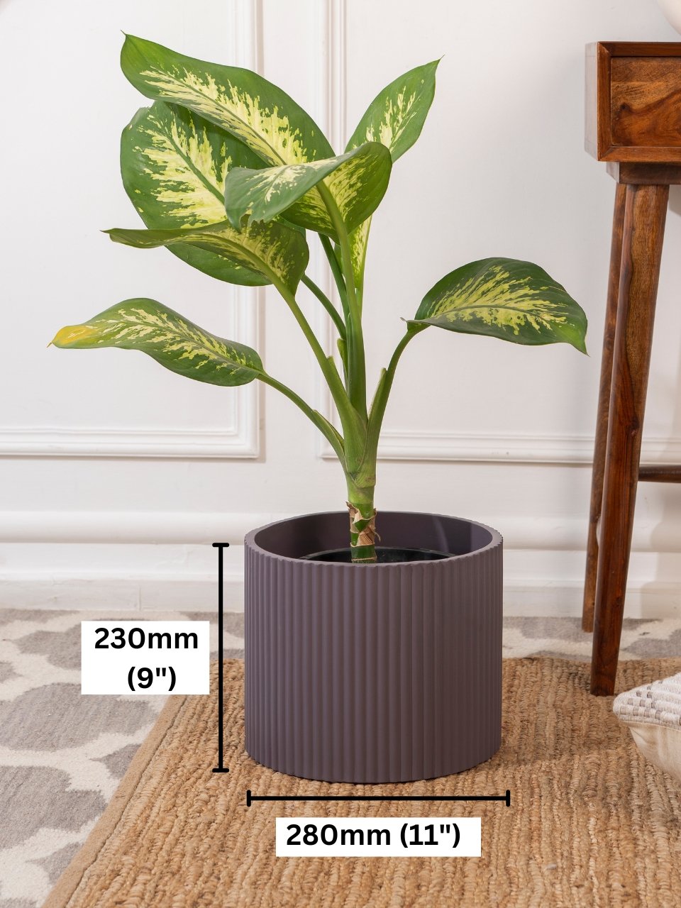 Medium Midori Planter - Ripples Home