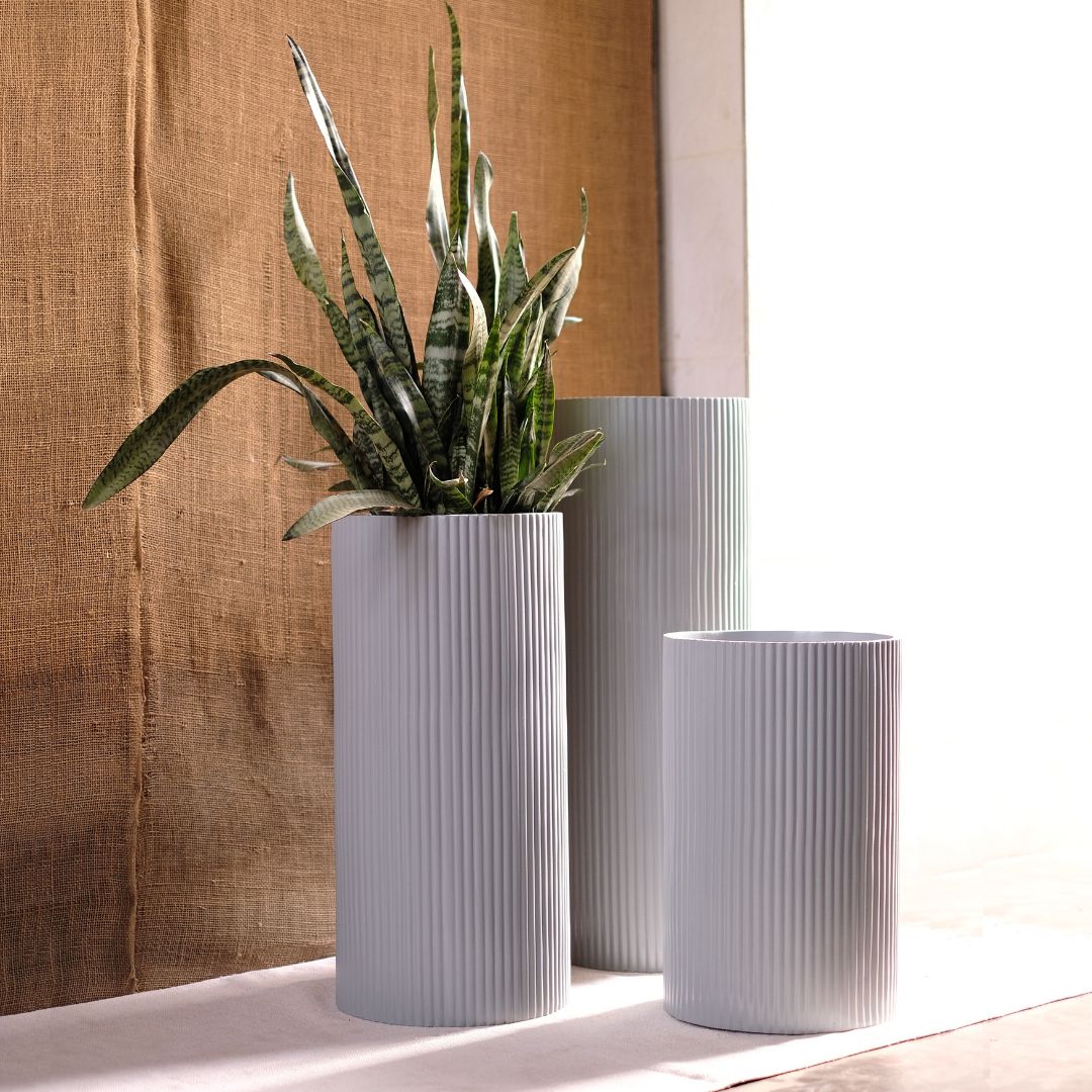 Medium Midori Planter Tall (Set of 3) - Ripples Home