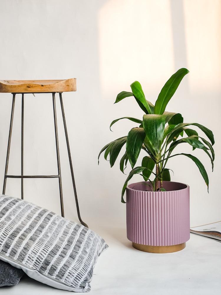 Medium Midori Planter With Base.