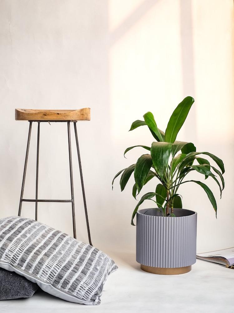 Medium Midori Planter With Base.