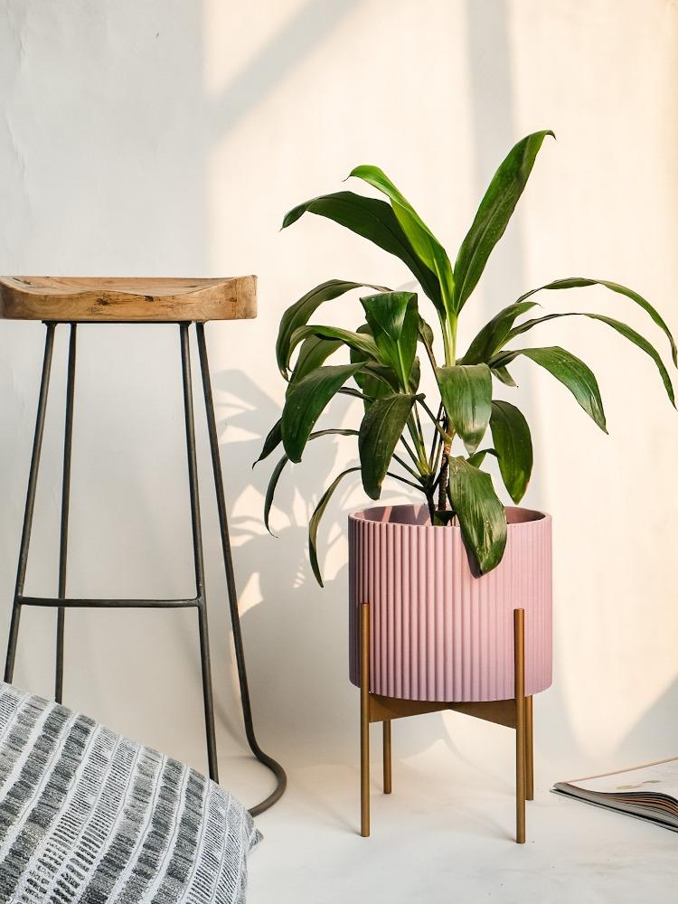 Medium Midori Planter With Stand.