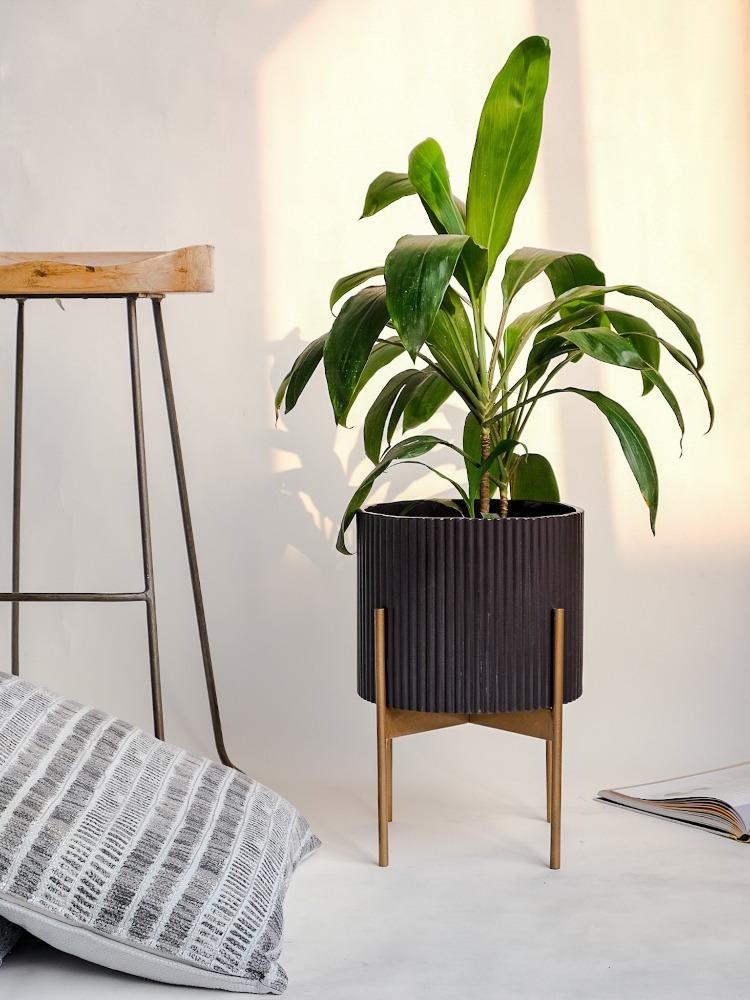 Medium Midori Planter With Stand.