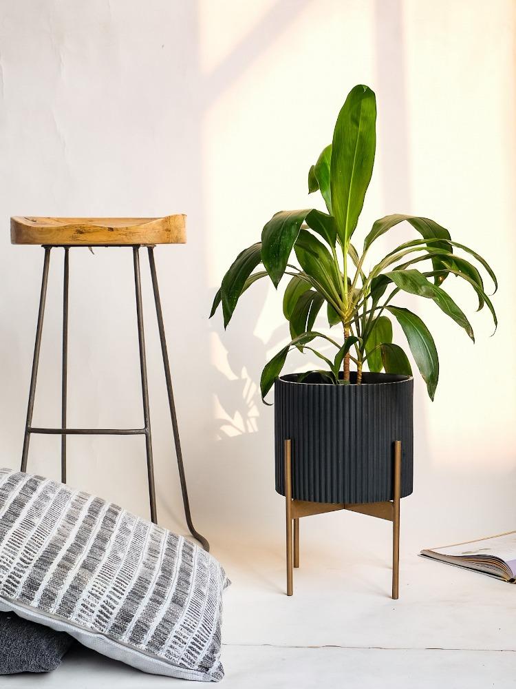 Medium Midori Planter With Stand.