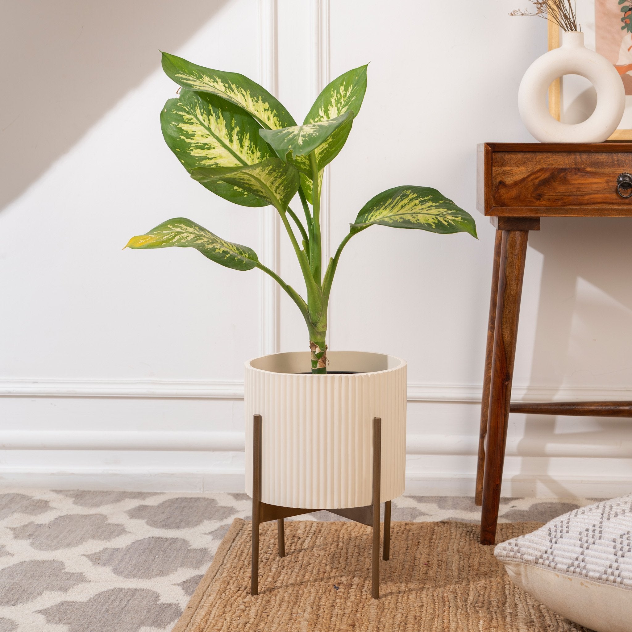 Medium Midori Planter With Stand - Ripples Home