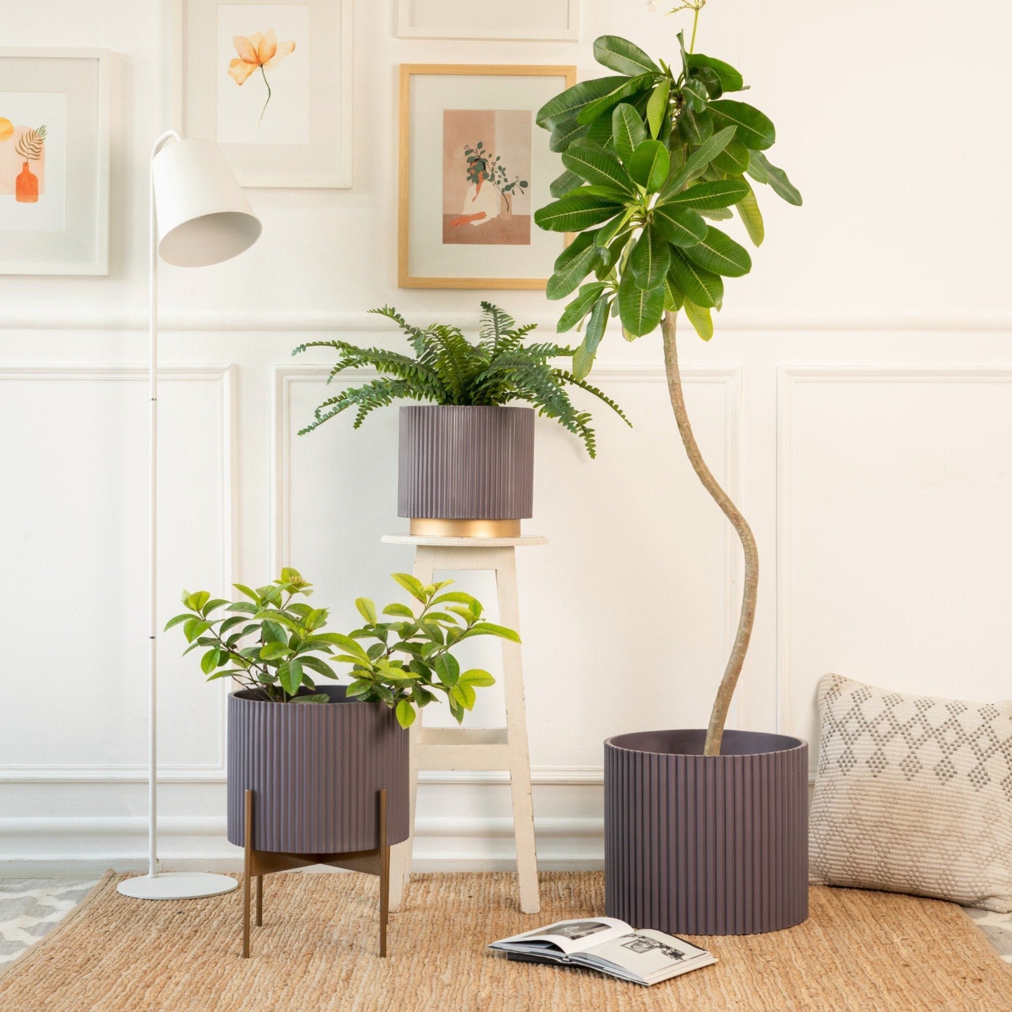 Midori Trio (XL,L,M) - Ripples Home