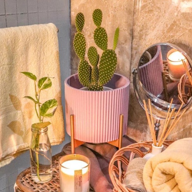 Small Midori Planter With Stand.