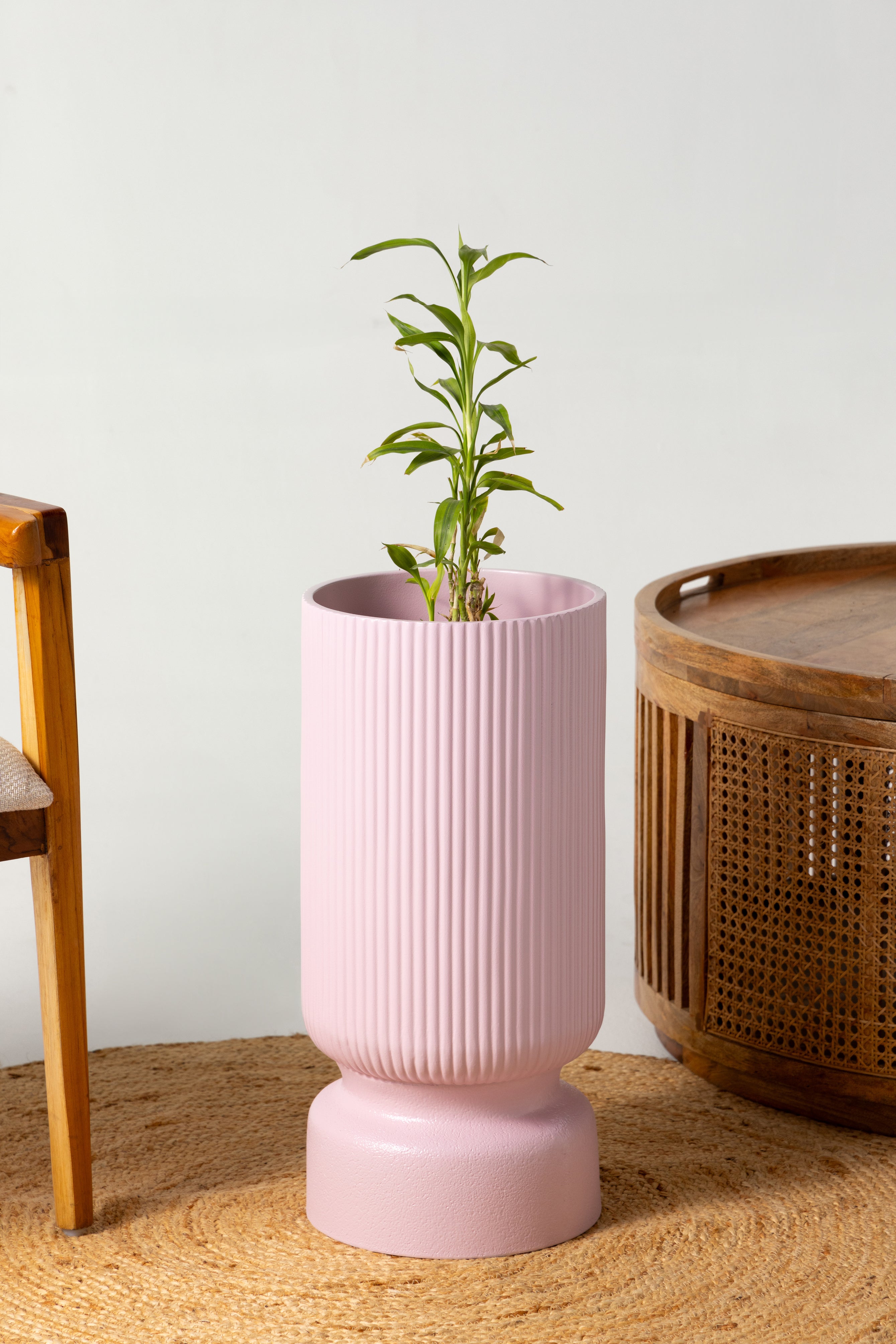 Lily Planter - Pink - Ripples Home