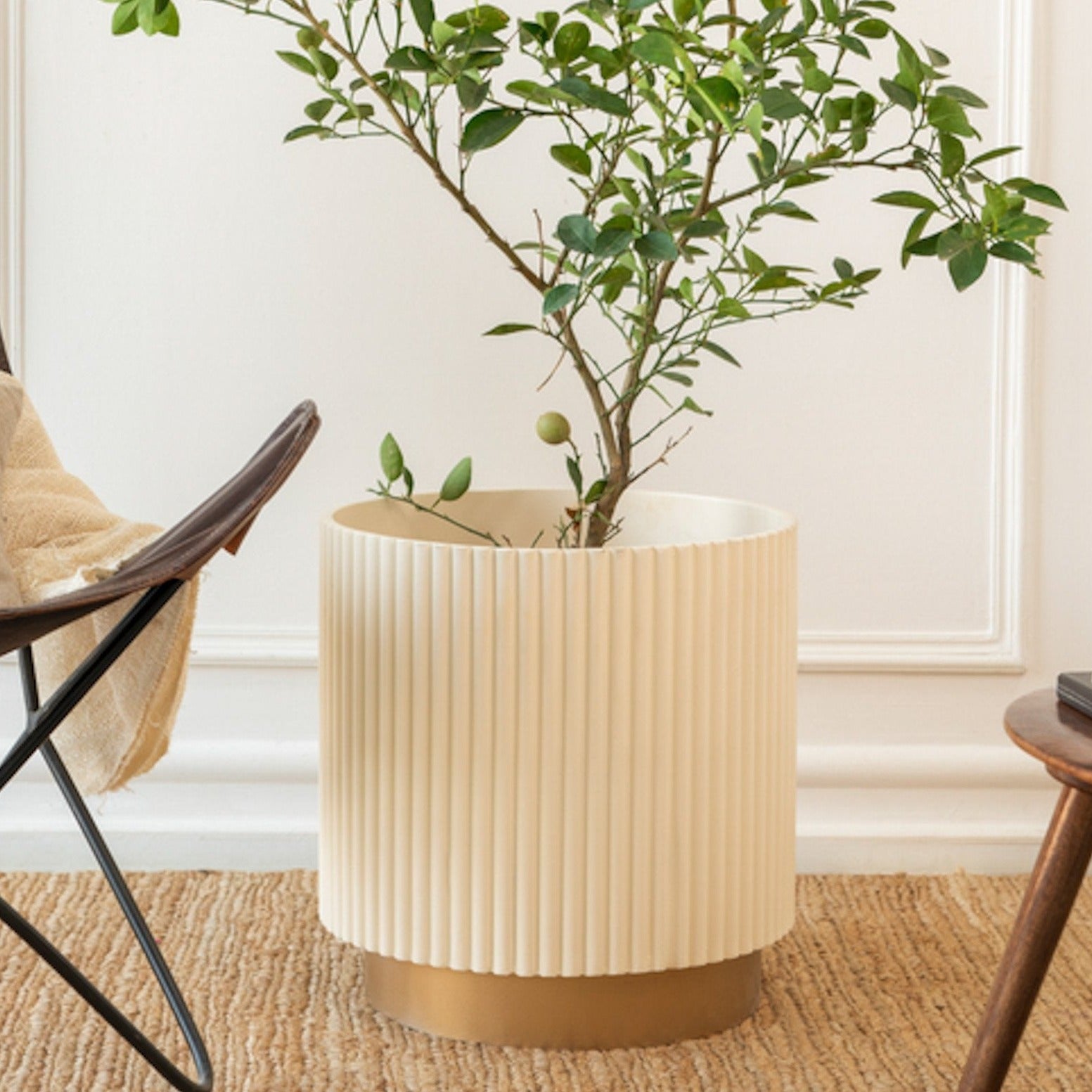 Extra Large Midori Planter with Base 15" Diameter