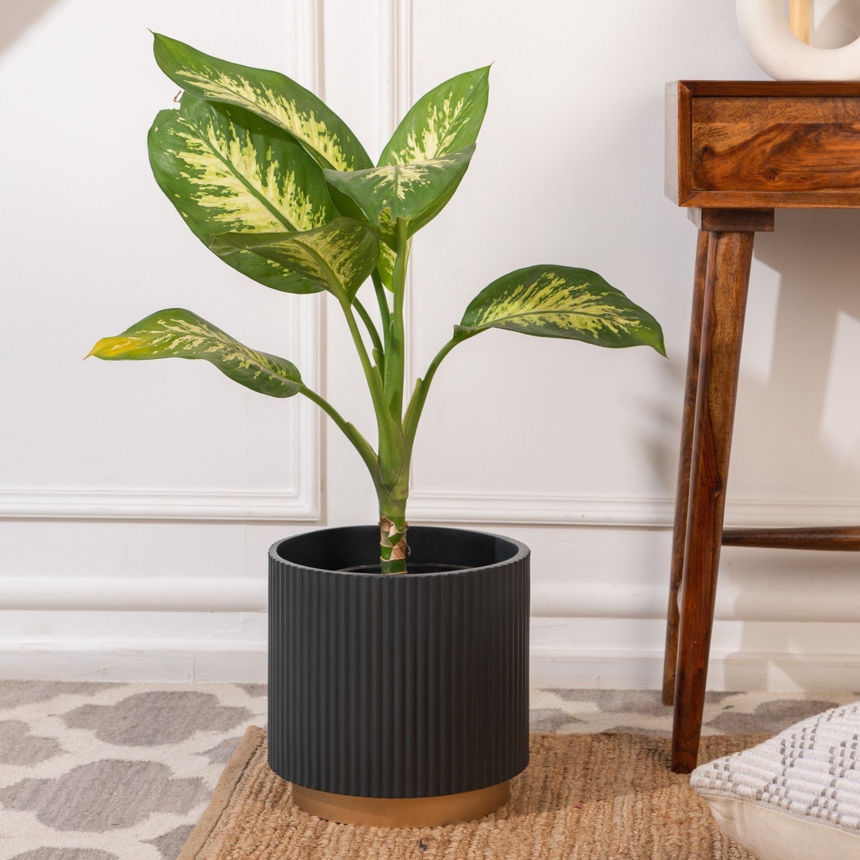 Medium Midori Planter With Base - Ripples Home