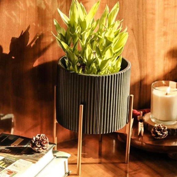 Small Midori Planter With Stand.